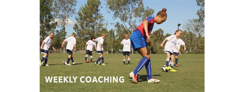 Player Development
